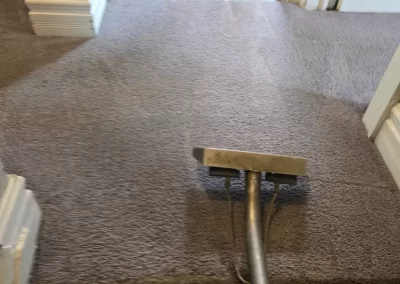 Affordable Carpet Cleaning