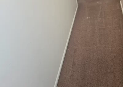 Expert Carpet Cleaners
