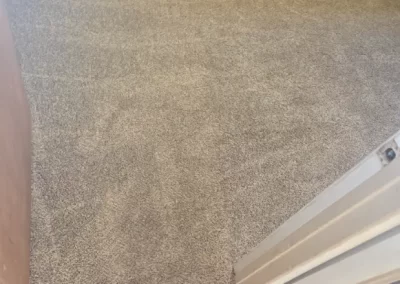 Professional Carpet Cleaners