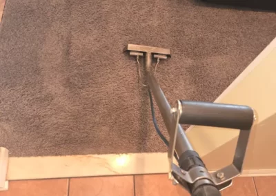 Reputable Carpet Cleaners
