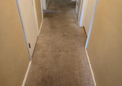 Reputable Carpet Cleaning