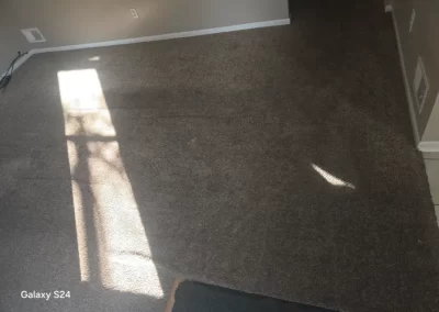 Reputable Carpet Cleaning Company
