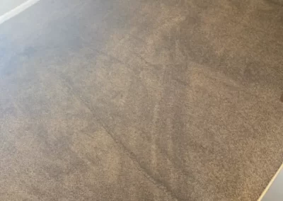 Superb Carpet Cleaning Company