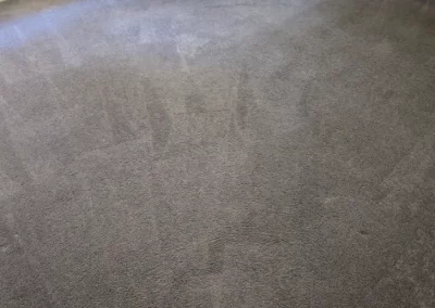 Superb Carpet Cleaning Service