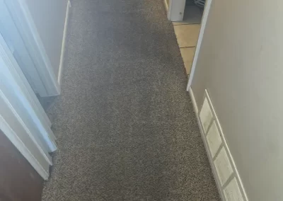 Trusted Carpet Cleaners