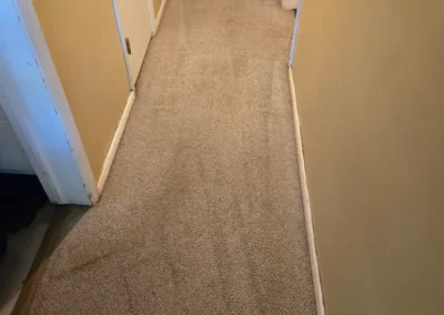 Trusted Carpet Cleaning
