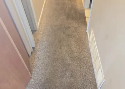 Trusted Carpet Cleaning Company