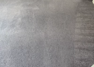 Trusted Carpet Cleaning Service
