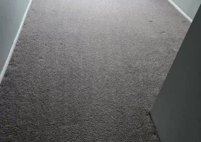 Excellent Carpet Cleaning Company