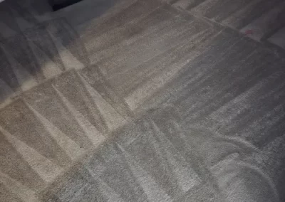 Superb Carpet Cleaning Company