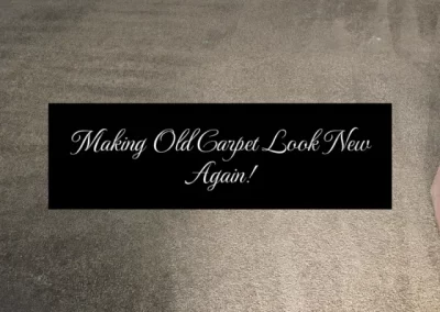 Experienced Carpet Cleaning