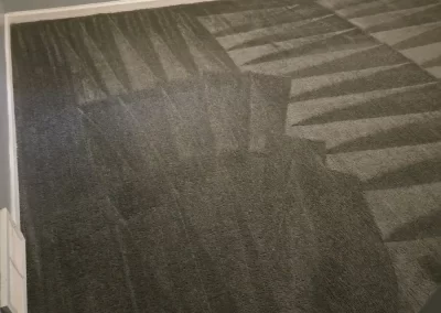 Fantastic Carpet Cleaning Service