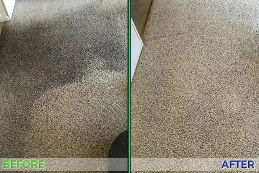 Carpet Cleaning Service