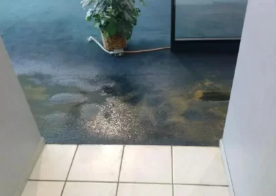 Dependable Carpet Cleaning