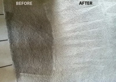 Excellent Carpet Cleaning Service