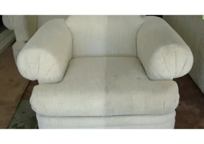 Expert Upholstery Cleaner