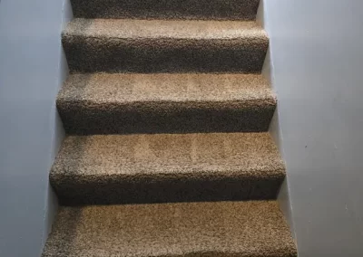 Professional Carpet Cleaning Service