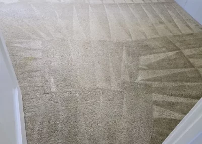 Professional Carpet Cleaning Service