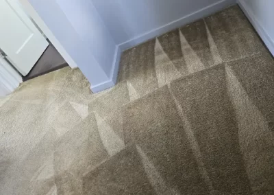 Professional Carpet Cleaning Service