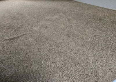 Professional Carpet Cleaning Service