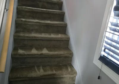 Professional Carpet Cleaning Service