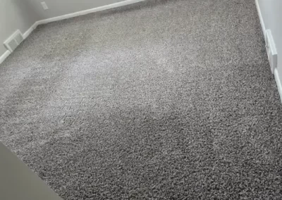 Professional Carpet Cleaning Service