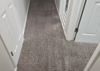 Professional Carpet Cleaning Service