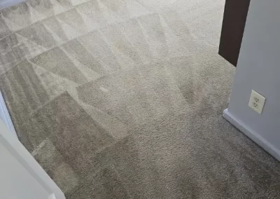 Professional Carpet Cleaning Service