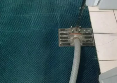 Reputable Carpet Cleaning