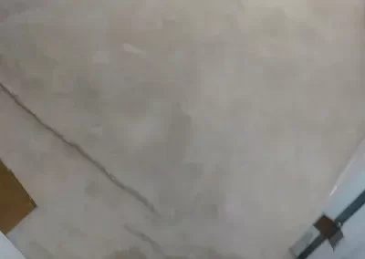 Reputable Carpet Cleaning Service