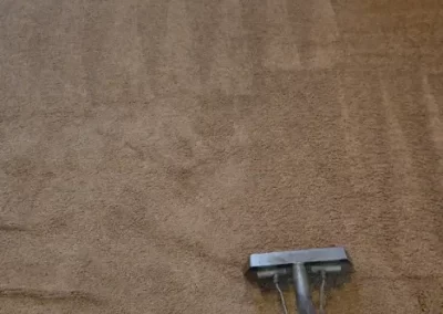 Top-rated Carpet Cleaning Service