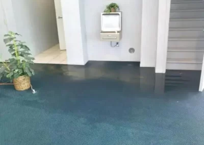 Trusted Carpet Cleaning